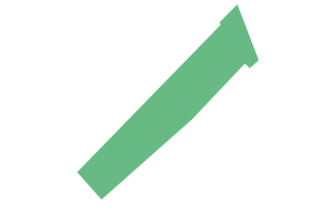 background logo