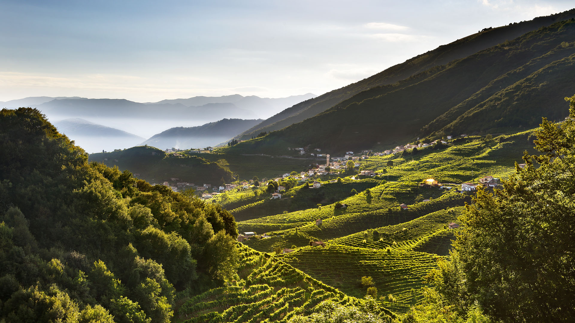 Sostenibilità ambientale tema