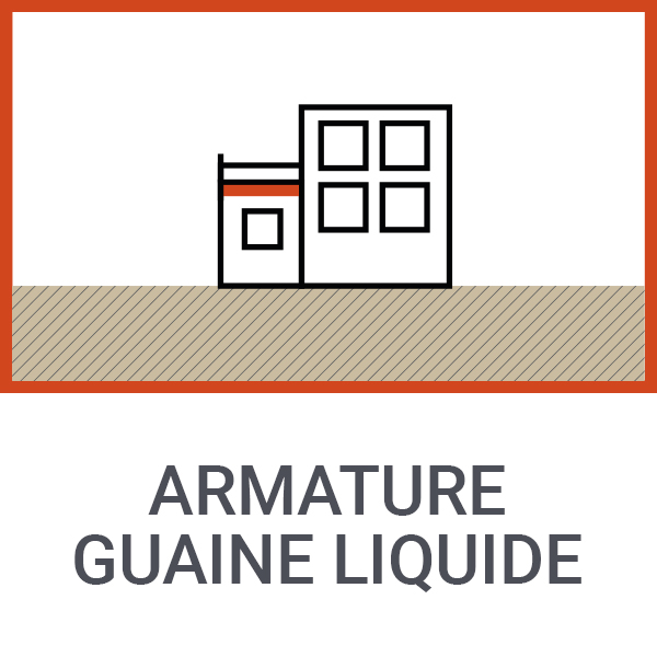 Armature guaine liquide