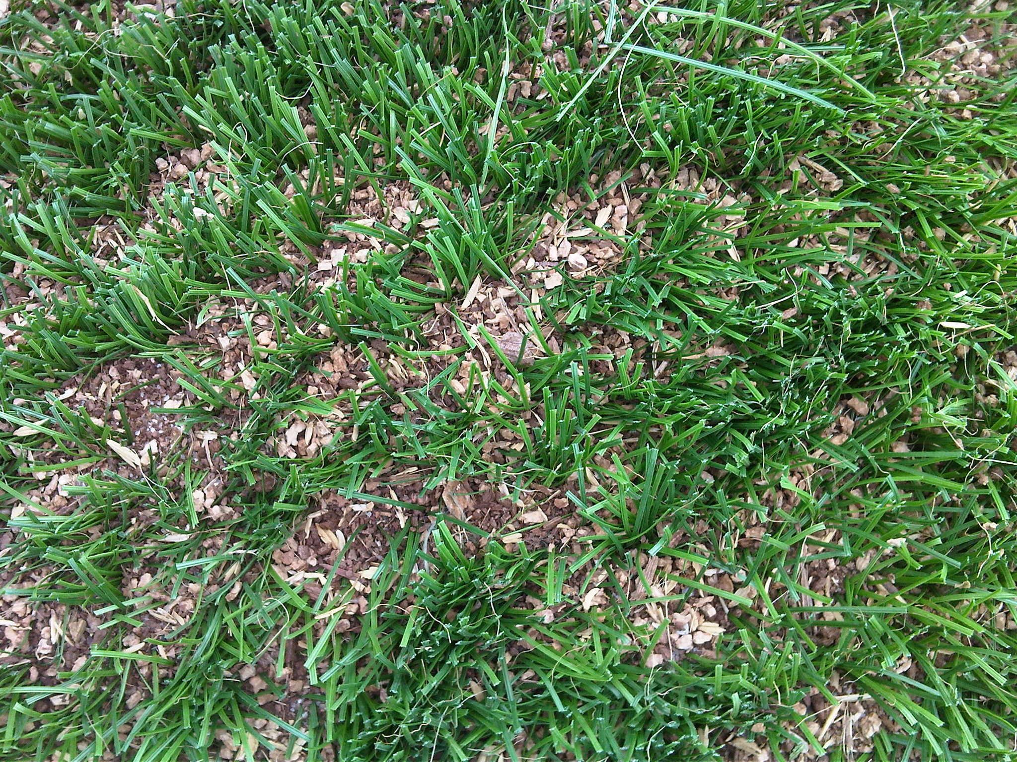 Campi da calcio in erba sintetica