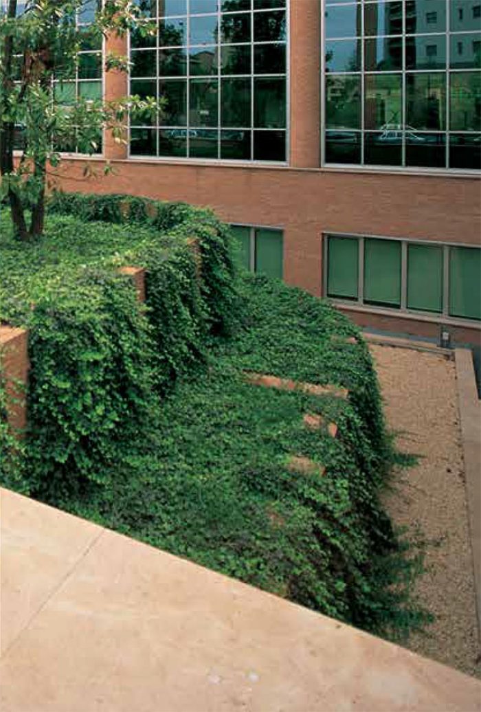 Studded membranes for green roofs