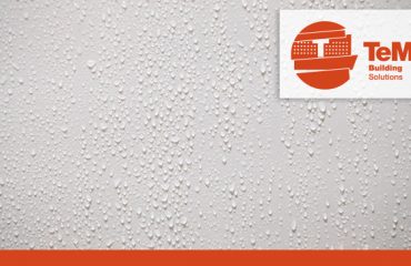 Damp Proofing vs Waterproofing