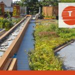 BUILDING - Green surfaces and green roofs: everything you need to know about the benefits and technical ins and outs
