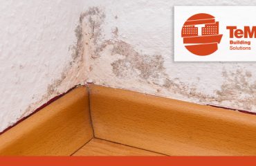 rising damp water mold damp efflorescence