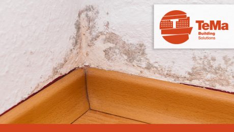 rising damp water mold damp efflorescence